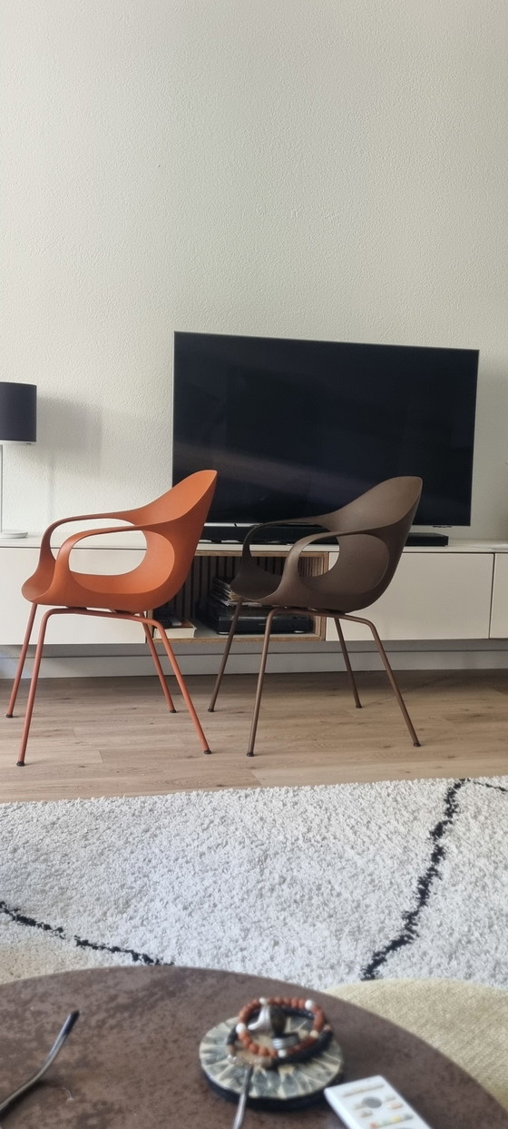 Kristalia Elephant Chair Brown – Dining chairs, Metal, Plastic (photo 4 of 7)
