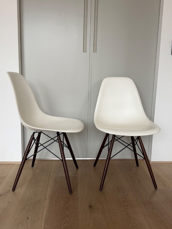 Set di 6 Sedie Vitra Eames DSW (Produzione 2015), Bianco / Acero scuro, Sedie da pranzo, Metallo, Plastica (foto 2 di 6)