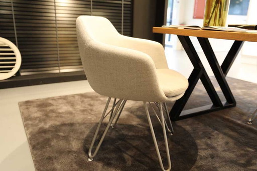 Sedia da pranzo Private Label 4051 LAP