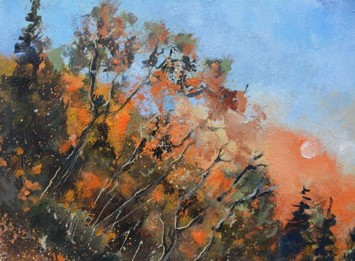 Luz de luna en otoño