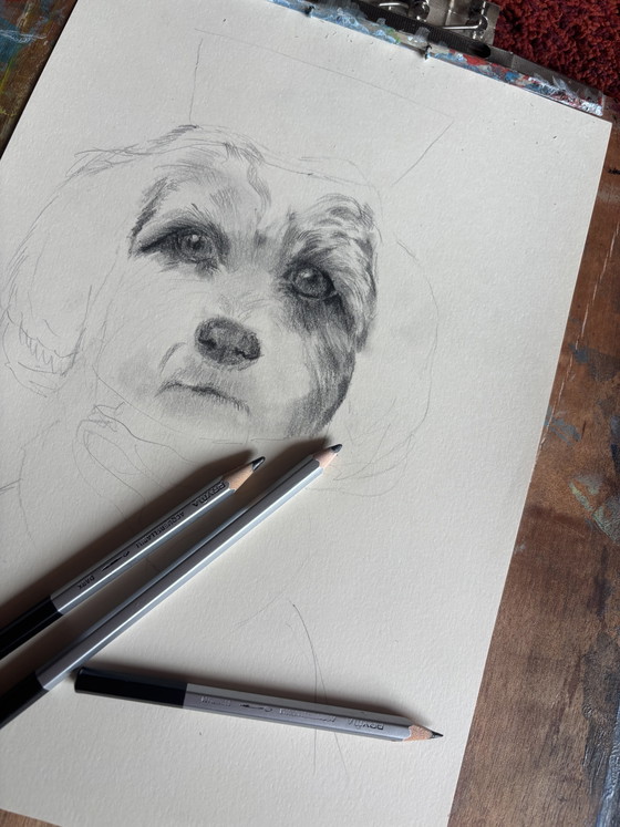 Royal Dog Charcoal Drawing – Paintings & Drawings, Paper (photo 5 of 5)
