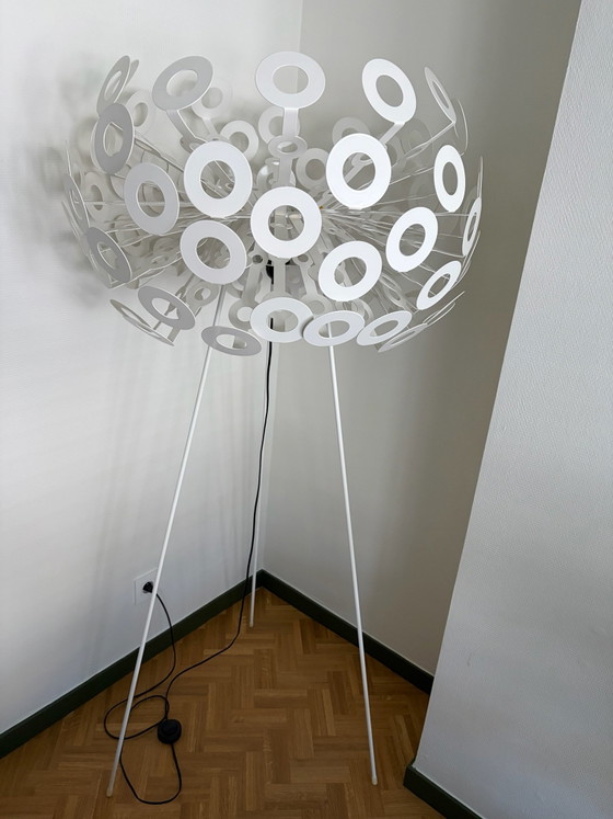 Dandelion Stehleuchten Richard Hutten – Moooi, Metall, Kunststoff (photo 8 of 10)
