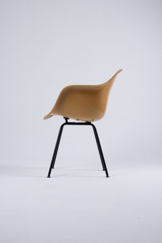 Image 1 of Paire de DAX Eames en fibre de verre – Light Ocre – Herman Miller / Vitra – circa 1965-1975