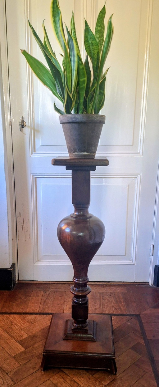 Pflanzenständer Pied de Stalle – plantentafel, Wood