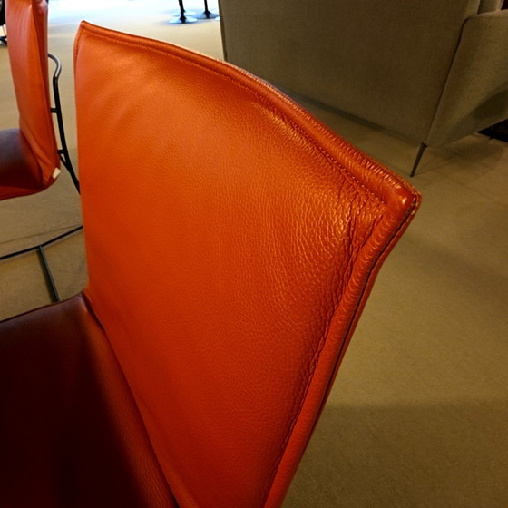 Image 1 of Jori Piuro