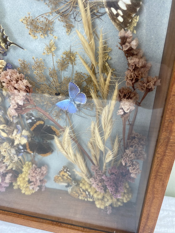 Image 1 of Eingerahmte Schmetterlinge und Blumen