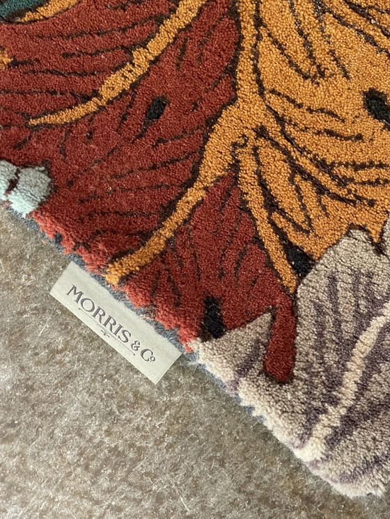 Image 1 of Alfombra de acanto Brink and Campman Morris & Co