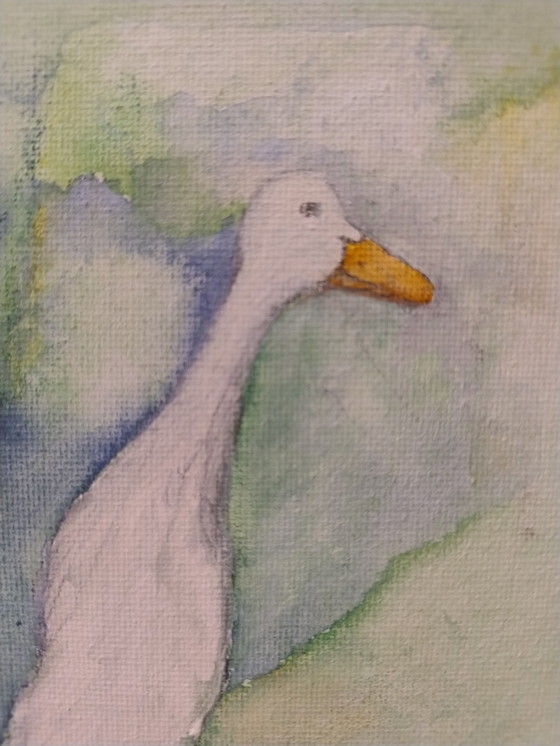 Image 1 of Runner duck