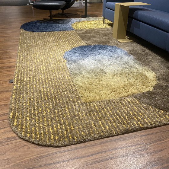 Image 1 of Tappeto Leolux Seasons - 225x340