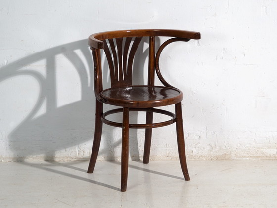 Pair of antique bentwood chairs in the Thonet style – Central Europe, circa 1905 – Dining chairs (photo 40 of 40)