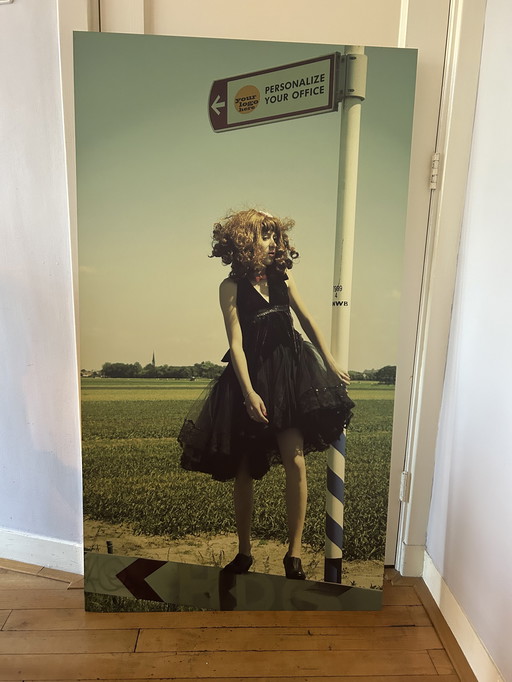 Kunstwerk: aluminium foto 76x136 cm