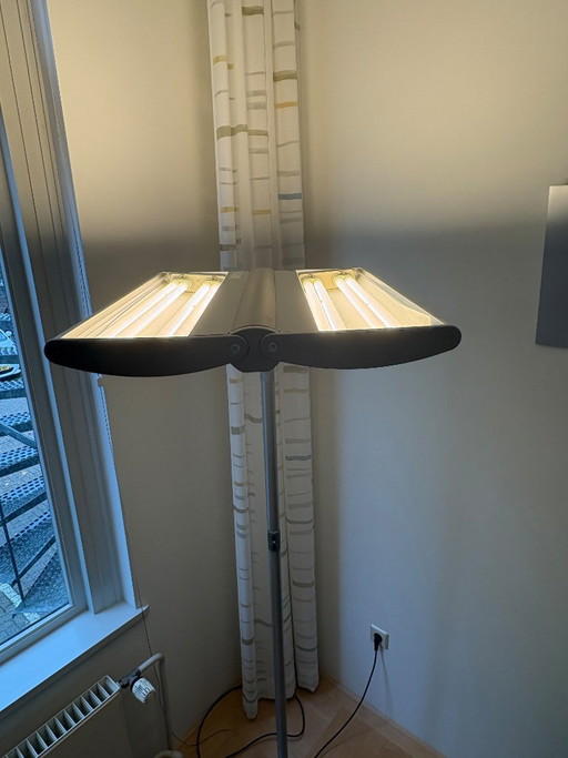 2x Waldmann Design EOS DVS 455P Floor lights – vloerlampen, Metal (photo 2 of 5)