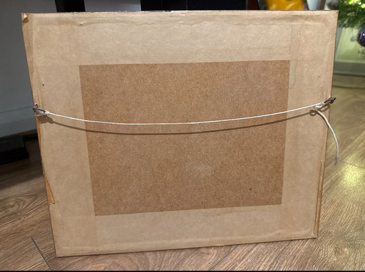 Gravure sur acier ancienne de 1830 représentant The White Hall, Shropshire