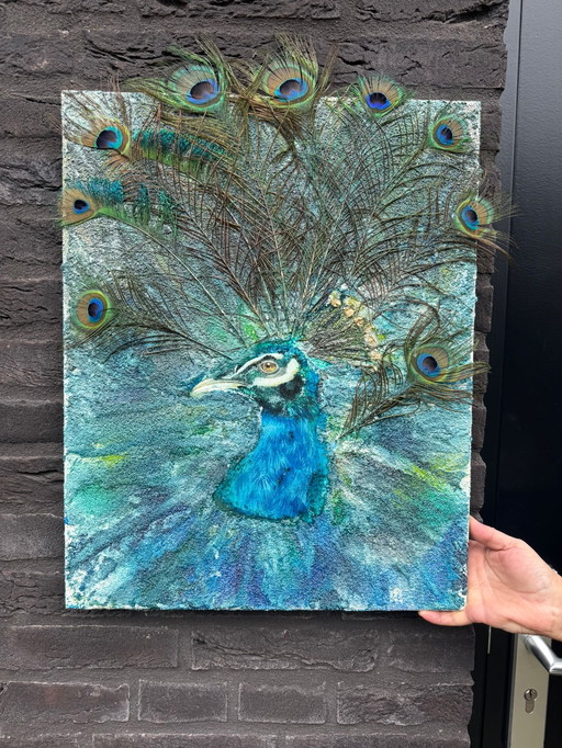 Paon sur toile, technique mixte