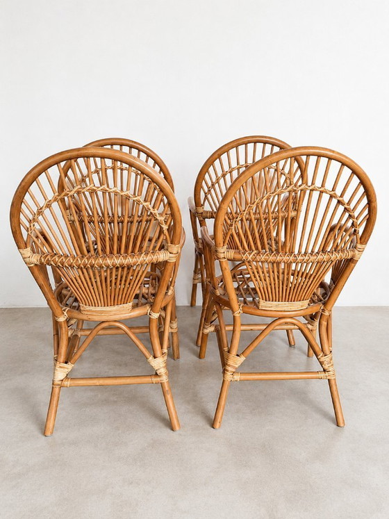 Image 1 of Rattan chairs, set of 4, 1960s vintage design, mid-century modern