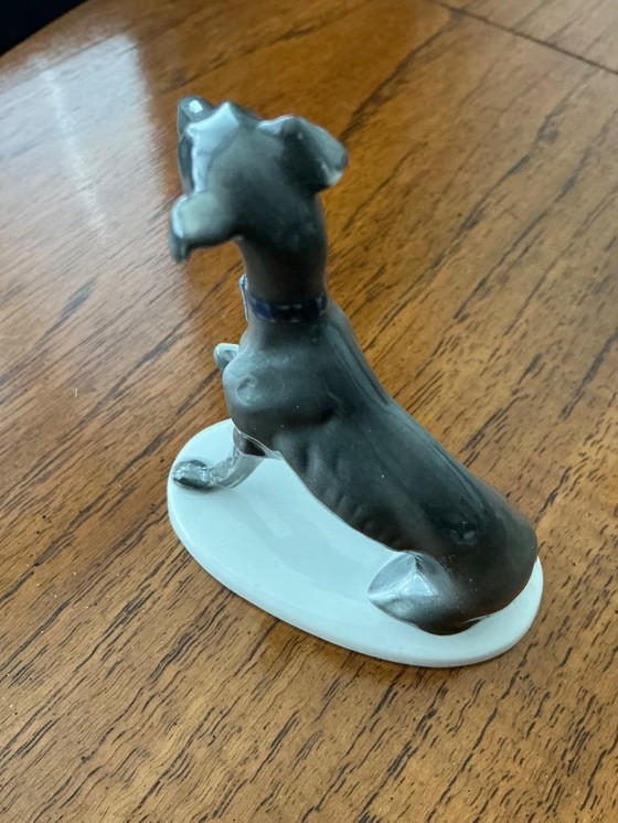 Image 1 of Pequeño whippet Hutsenreuter 1930