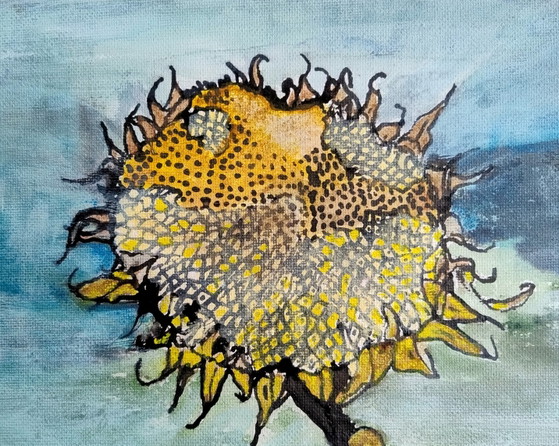 Image 1 of Tournesol