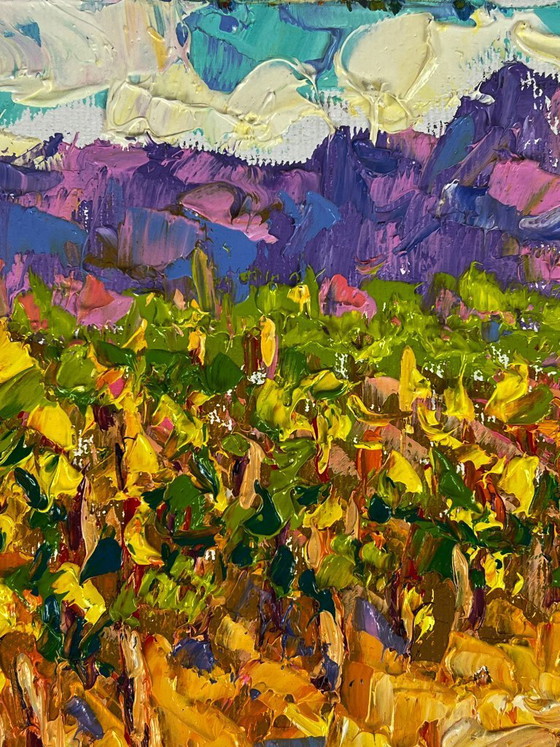 Image 1 of Vineyards near the Mountains