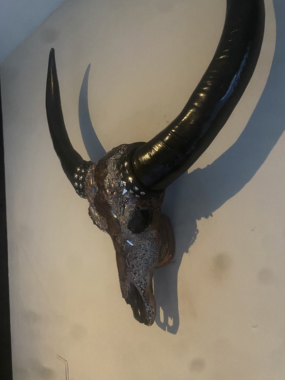 Image 1 of Magnifique crâne de buffle d'eau