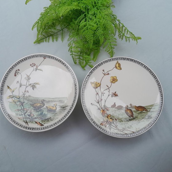 Piatti da Torta Vittoriani Antichi di Brown-Westhead, Moore & Co. Circa 1887 – Stoviglie, Porcelain (photo 6 of 6)