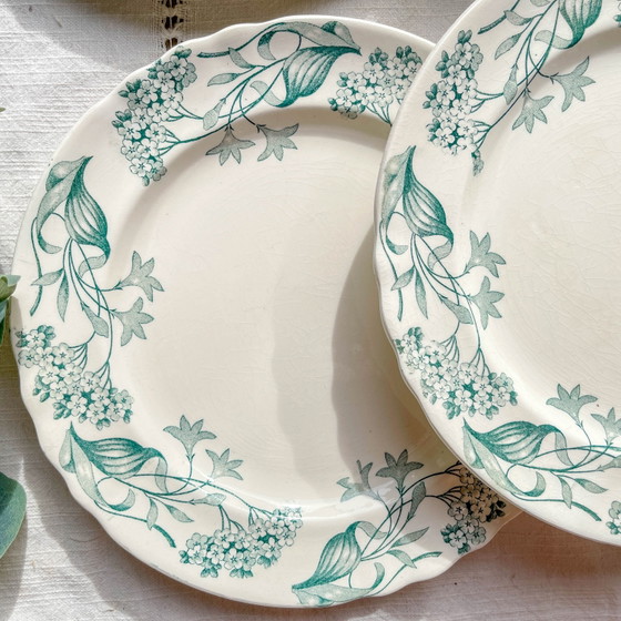 Set di 6 Piatti Piani Antichi in Ironstone "Lilac" – Longchamp XIX Secolo – Stoviglie, Vintage (photo 7 of 14)