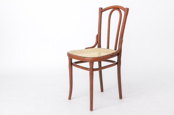 Sedia antica in legno curvato nello stile di Thonet n. 56 | Sedia da bistrot austriaca in rattan | Anni '30 (photo 5 of 11)