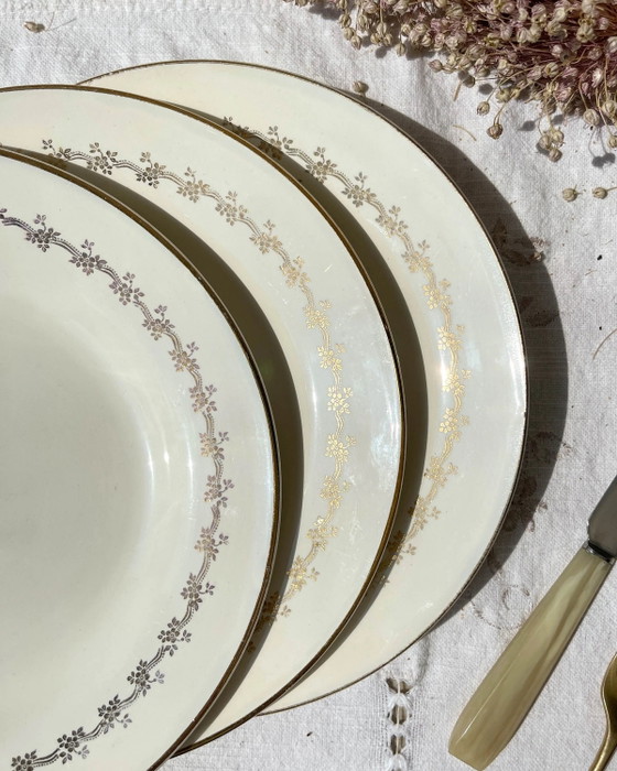 6 Platos DIGOIN SUZY de Porcelana Opaca – Loza (photo 2 of 10)