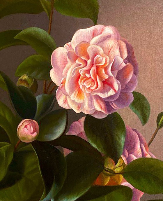 Original Oil Painting Camellia Flower – Paintings & Drawings, Canvas (photo 6 of 6)