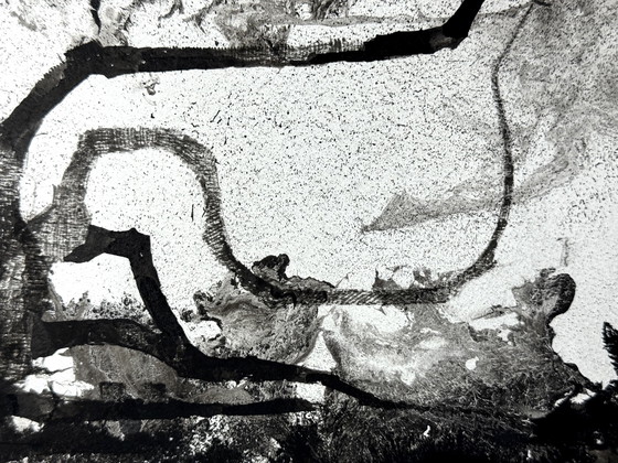 Image 1 of Eugène Eechaut (1928-2019) - Ink trees, diptych 1975, framed 