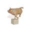 Toro Terracotta van Mario Bertozzi – Beeldhouwkunst, Marble (photo 3 of 4)