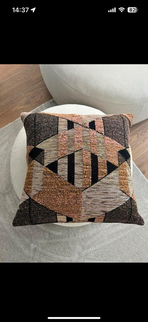Evolution 21 pillow and plaid