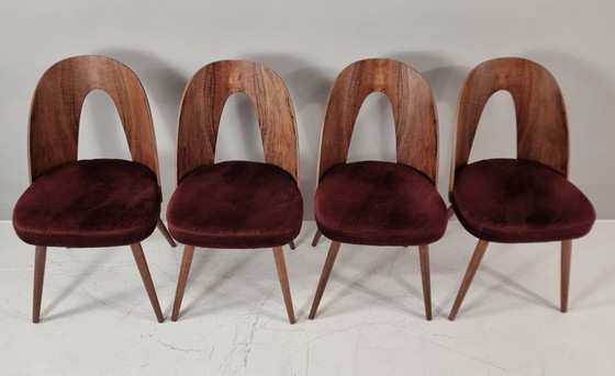 Image 1 of Chaises vintage d'Antonin Suman, années 1960, lot de 4