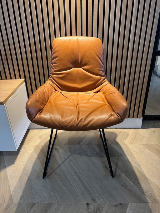 Fauteuil Barones Leya