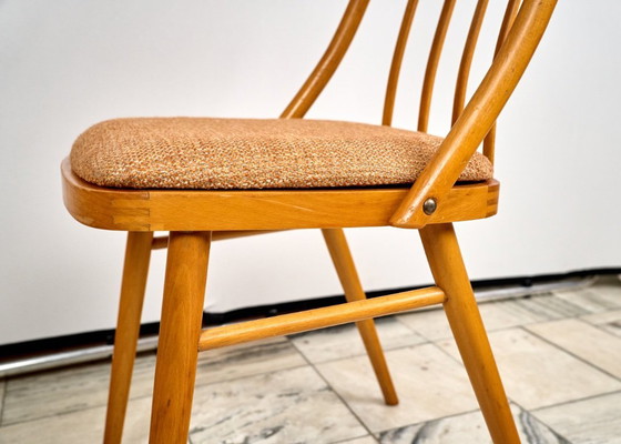 Image 1 of Set van 3 eetkamerstoelen van A. Suman, jaren 60, Tsjechoslowakije
