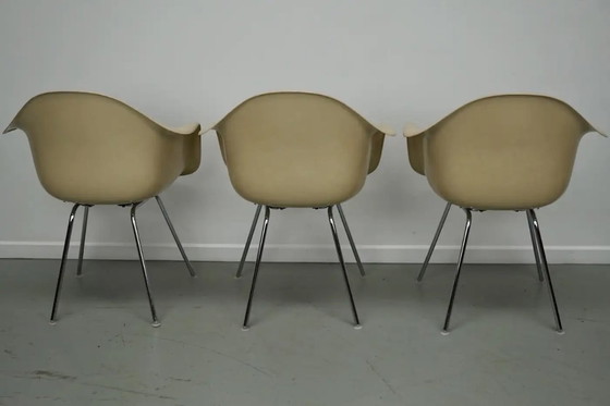 Image 1 of Set di tre poltrone DAX in fibra di vetro color pergamena, Eames per Herman Miller / Vitra