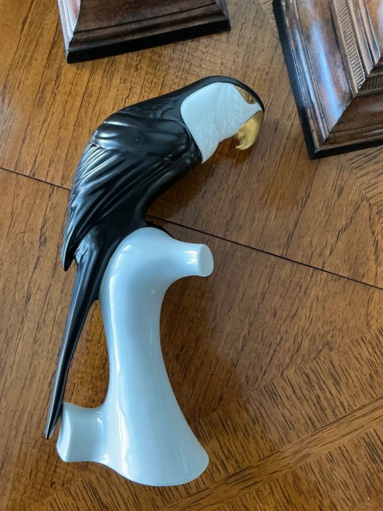 Image 1 of ROYAL- DUX 🦜 papegaai 1