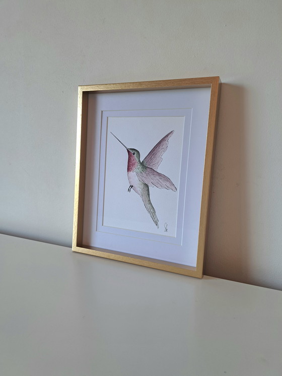 Image 1 of Acquerello originale raffigurante un colibrì in una cornice color oro.