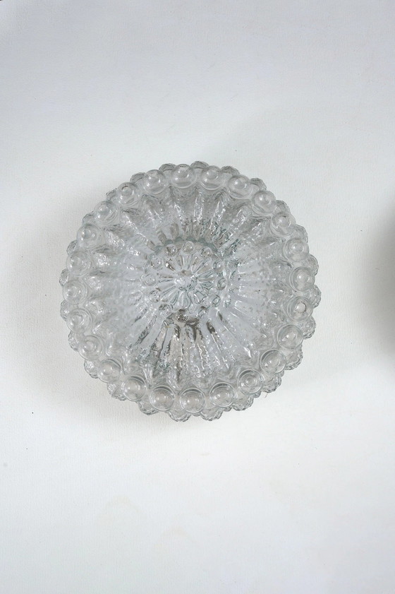 Molded Bubble Glass Flush Mount Ceiling Light, Metal (photo 5 of 8)