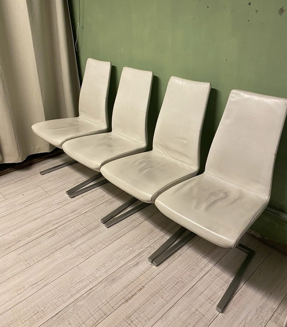 Image 1 of Rolf Benz chairs