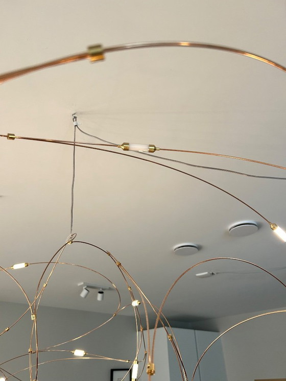 Image 1 of MOOOI - stormo di luce 31