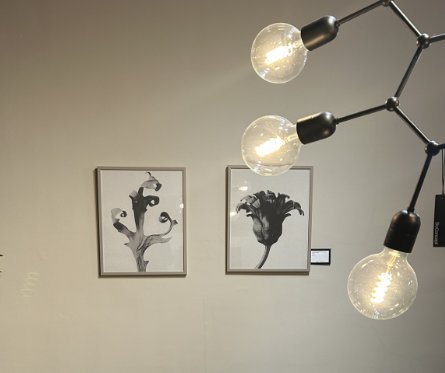 Image 1 of Boconcept - Delphinium Galerie