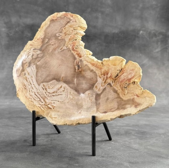 Image 1 of Madera fosilizada de Sooka, soporte hecho a medida (nuevo)