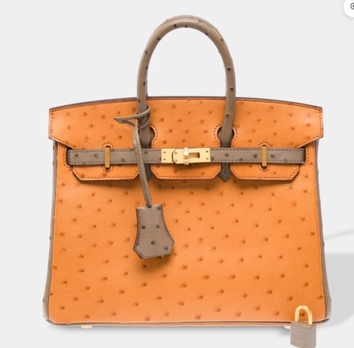 Sac HERMES Birkin 25 en Cuirs exotiques Marron - 103410