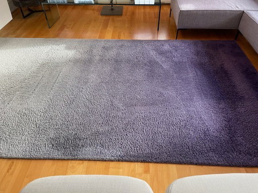 Tapis de Millenerpoort, modèle Corso 45