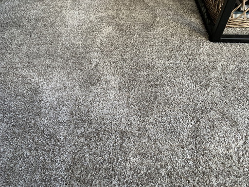 Large Rug 340x240cm Table du Sud