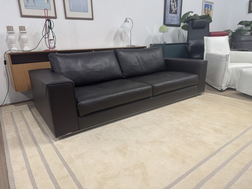 Minotti Hamilton