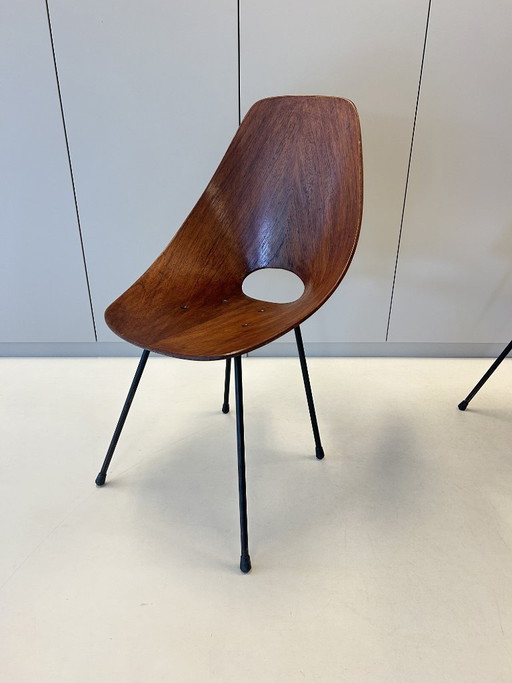 Vintage Medea chairs by Vittorio Nobili for Fratelli Tagliabue (Set of 6)