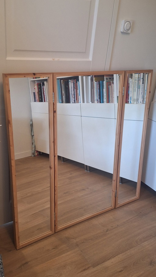 Piet Hein Eek – Mirror in Scrapwood, Art. 3516, 120 × 60 cm. – spiegels, Glass (photo 2 of 5)