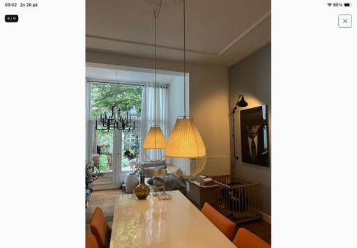 2x Rick Tegelaar lampen