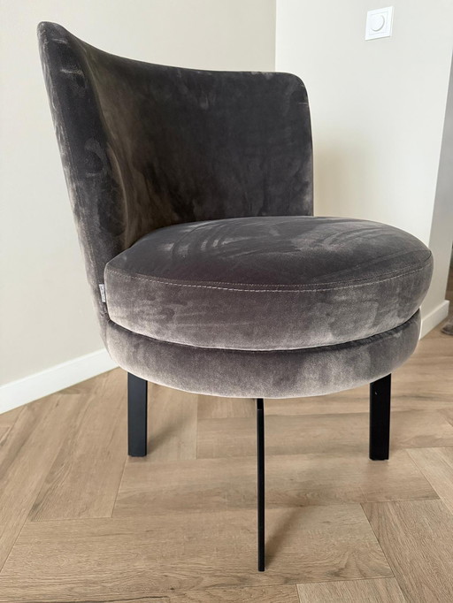 8x Keijser & Co - Nova - Dining room chairs